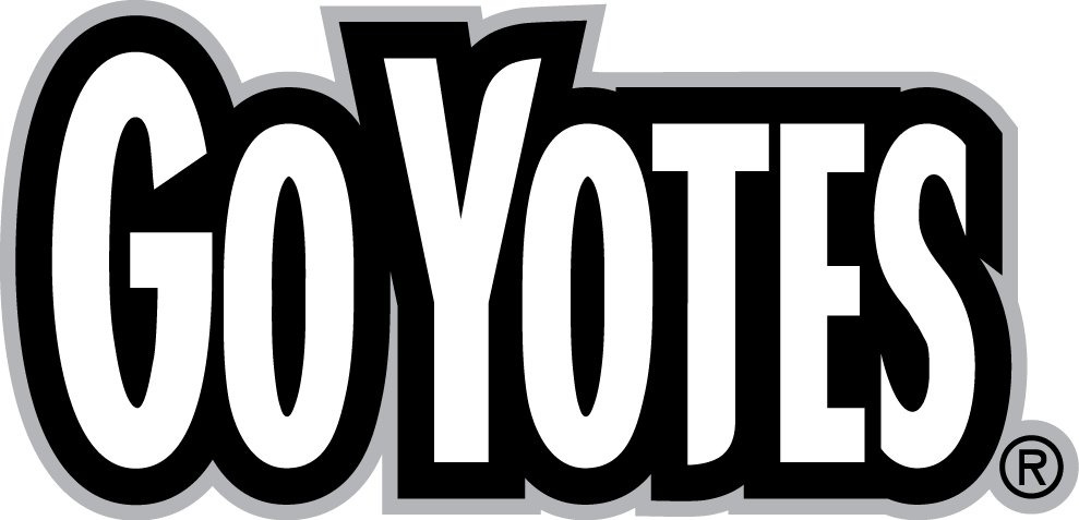 South Dakota Coyotes 2004-2011 Wordmark Logo v4 DIY iron on transfer (heat transfer)
